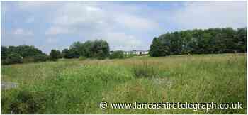 Burnley battery complex on open land recommended for approval