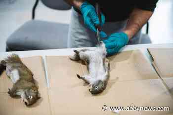 ‘Helped me rejuvenate my soul:’ Inmates in Yellowknife learn trapping, outdoor skills