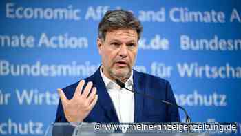 Energie: Habeck will staatliche Hilfen für Kapazitätsausbau