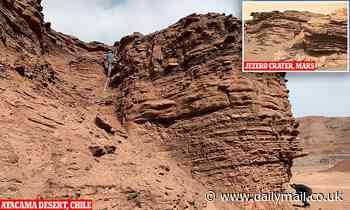 Will we EVER find signs of life on Mars? Scientific instruments lack sensitivity, study warns