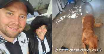 Longbenton couple who found puppy had destroyed their cup final tickets to get new ones from Wembley