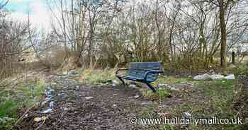 Hull's grimmest bench in a garden of rubbish surrounded by overgrown bushes