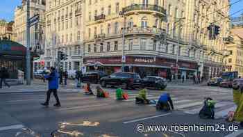 Klima-Kleber werden von der Wiener Polizei einfach sitzen gelassen - und sind dann empört
