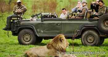 Top adventure holiday activities - like hiking, nature trail walks, and wildlife safaris