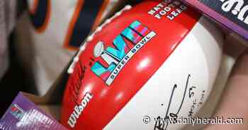 'I had the time of my life.': Elburn boy attends Super Bowl through Make-A-Wish Illinois