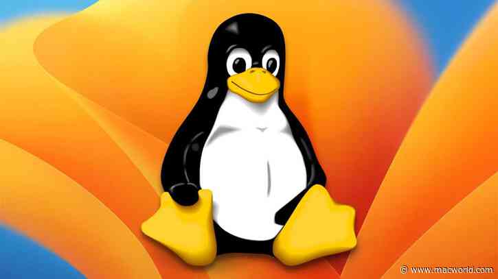 Linux 6.2 is up and running on M1 Macs but still missing many key features