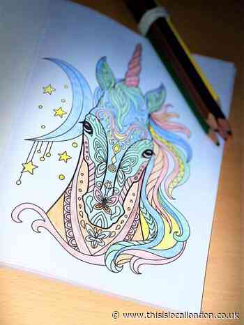 'Colour your stress away: The Secret to Mindfulness' Gurleen Kaur- TLA