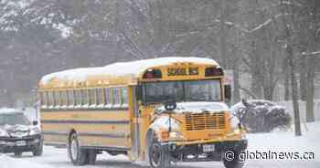 Schools and yellow buses cancelled as Calgary expects snowfall