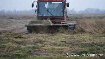 FDP in SH moniert Flächenaufkauf durch Stiftung Naturschutz