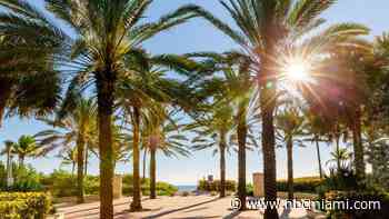 Why is it So Hot in February? NBC 6 Meteorologist Explains  