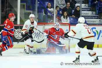 VIDEO: Overtime win at home for Vancouver Giants