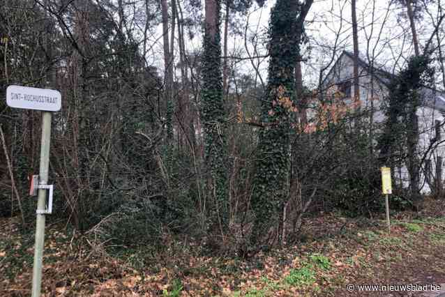 Openbaar onderzoek Park Gaston is gestart: actiecomité overhandigt petitie, ontwikkelaar houdt infomoment