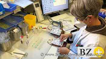 Weg des Bluts am Klinikum Braunschweig: vom Spender zum Empfänger