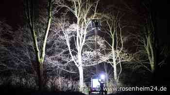 Berlin: Vermisste Vierjährige tot - 19-Jähriger festgenommen