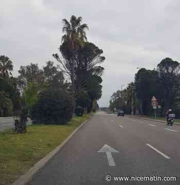 Mais où est passé le radar situé en face de l’aéroport de Nice?