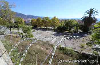 On fait le point sur les défis et souhaits de l’Aspona dans l'aire mentonnaise pour 2023