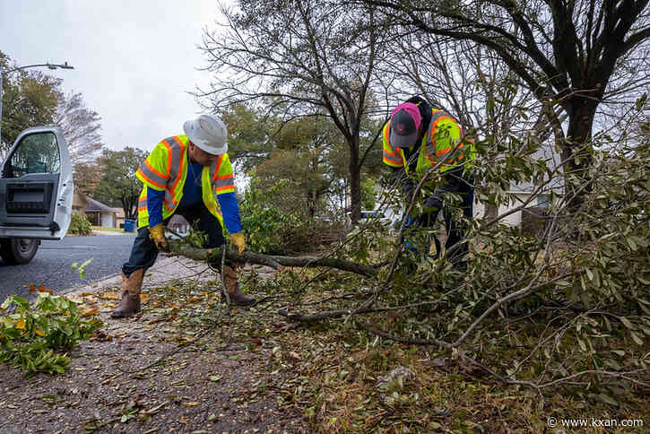 10.5 million Austin trees damaged in February ice storm, Texas experts report