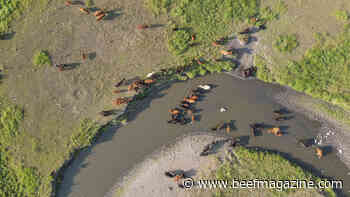 Oklahoma forage and water supplies limited this winter