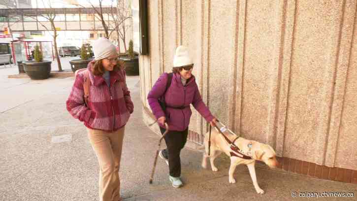 Calgary cab driver refused to pick up a blind woman and her service dog