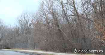 Kingston, Ont. environmental group granted ‘party status’ for Davis Tannery land appeal