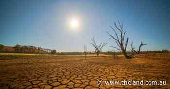 Key to surviving the drought a 'no-brainer'
