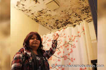 Mould endangers 60 tenants of rundown B.C. building: BCCDC report