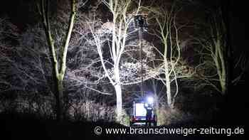 Spurensuche im Park: Fünfjähriges Mädchen in Berlin tot