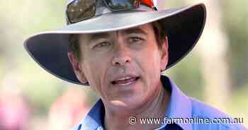 Cattle Australia announces its new CEO