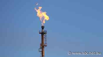 Dash for new gas plant in WA as demise of coal-fired power threatens supply