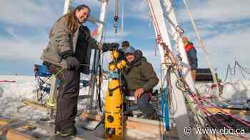 Don't give up, scientists say — the world can still avoid doom from melting Antarctic ice