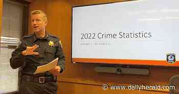 'We have to figure out what that looks like': Naperville police chief talks about enforcing ban on gun sales