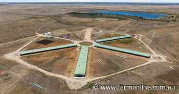 Isolated egg powerhouse being sold by receivers