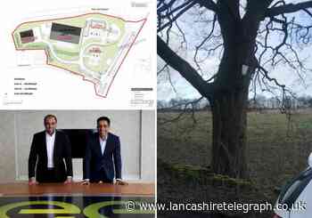 Issa brothers EG Group in row over M65 site tree felling