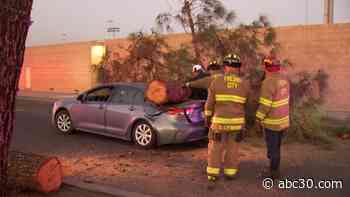 Strong winds knock down trees, cause power outages across Fresno County