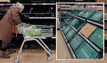 Rationing of fruit and veg in UK supermarkets to 'last for weeks'