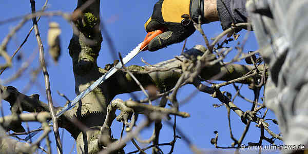 Jetzt ran an Heckenschere und Spaten