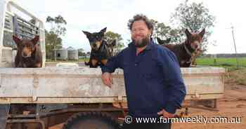 "Disappointed is an understatement."