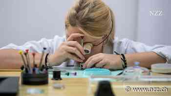 Hört auf, die Lehre schlechtzureden!