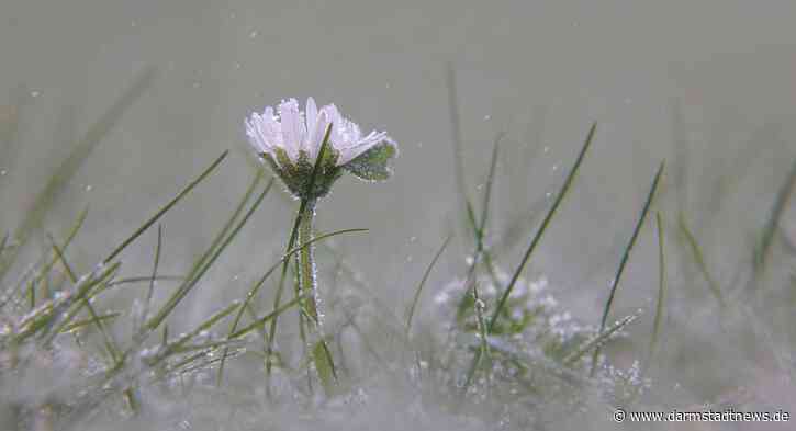 Der Winter meldet sich zurück – Schnee und Frost ab Freitag
