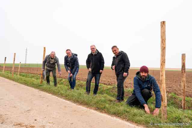 Haagplantjes aangeplant om modder- en wateroverlast tegen te gaan: “Het vergroot ook de beleving voor wandelaars en fietsers en komt de akkervogels ten goede”
