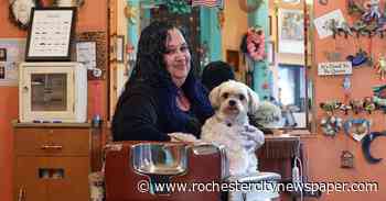 Sitting in this South Wedge barber’s chair is a trip to a quirky wonderland