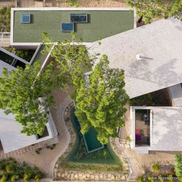 Atelier Data completes house between pine trees in Portuguese national park