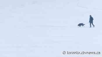 Warnings issued for almost all of southern Ontario ahead of 'high impact' winter storm