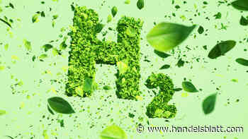 Wasserstoff-ETFs und Wasserstoff-Aktien: Das ist wichtig, wenn Sie sich Wasserstoff ins Portfolio holen