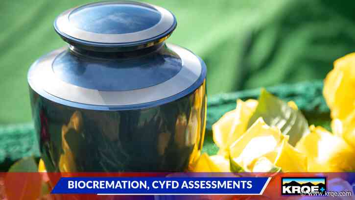 Roundhouse Roundup: CYFD family assessments, biocremation