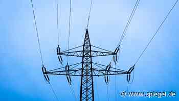 Strom von Rabot Charge oder Tibber: Was taugen die neuen Billigtarife?