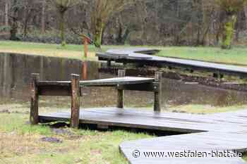 Gutachten: Opfer in mögliche Lebensgefahr gebracht