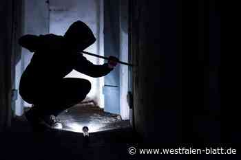 Mehr Straftaten im Kreis Höxter nach der „Ruhe“ der Pandemie