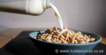 Nearly four in 10 teachers say children come to school hungry