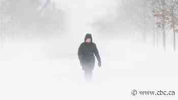 Winter storm to dump heavy snow on Hamilton, Niagara and surrounding regions